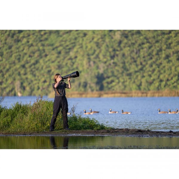 Nikon Z 800mm f/6.3 VR S [Z800/6.3 VR] - Image 10