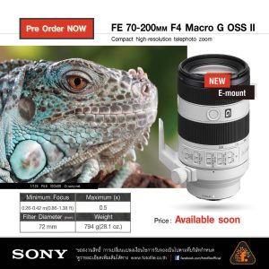 Sony FE 70-200mm F4 Macro G OSS Ⅱ