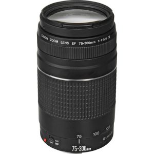 Canon EF 75-300mm f4-5.6 III