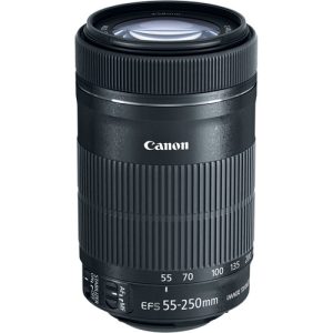 Canon EF-S 55-250mm f4-5.6 IS STM Lens